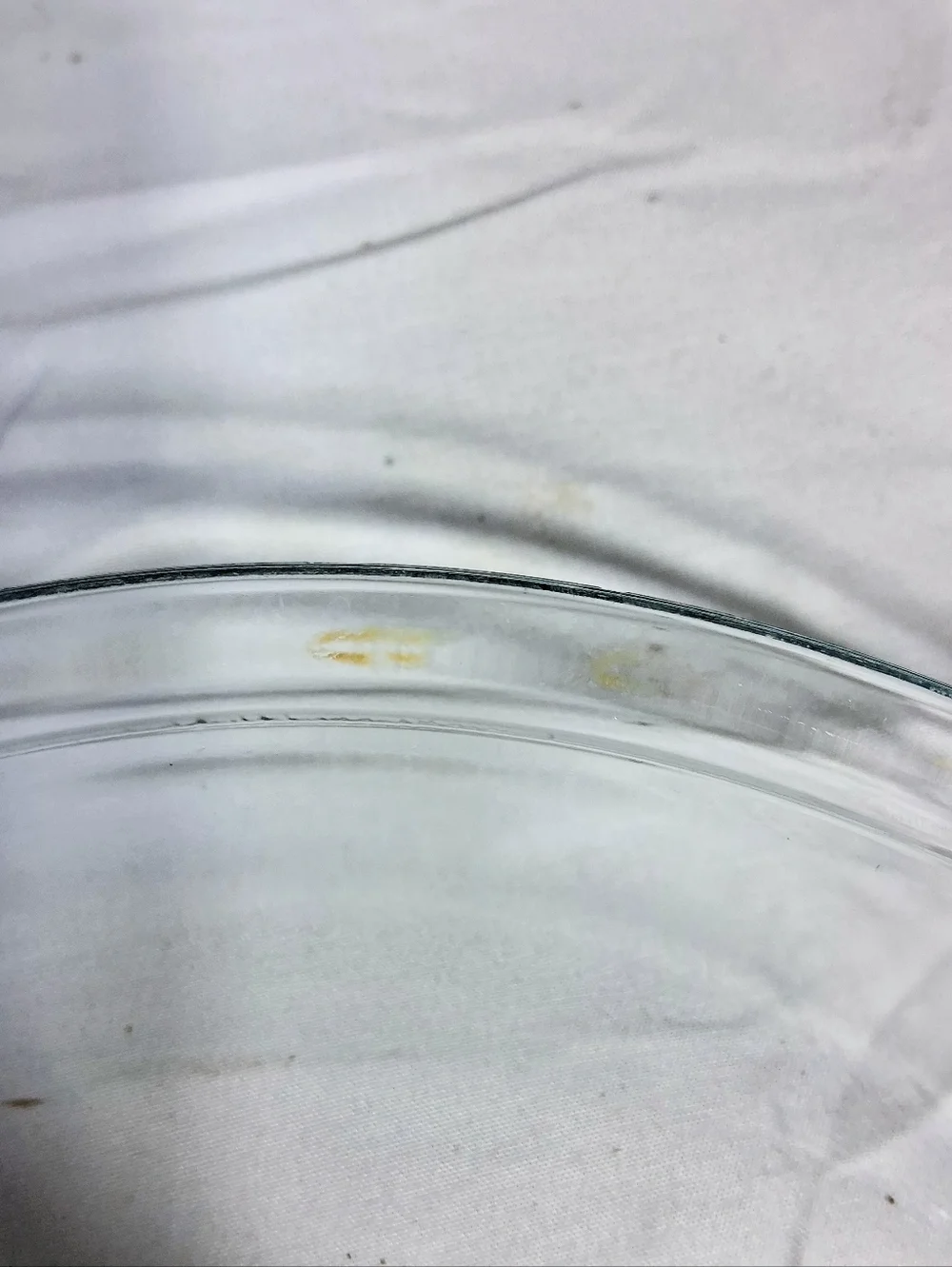 Pyrex inch round